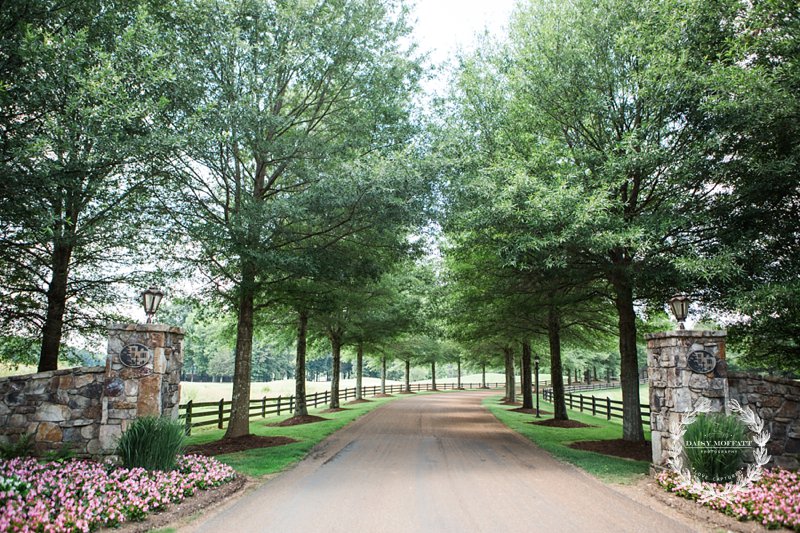 barnsley gardens, barnsley gardens wedding, chattanooga wedding photographer, atlanta photographer, garden wedding