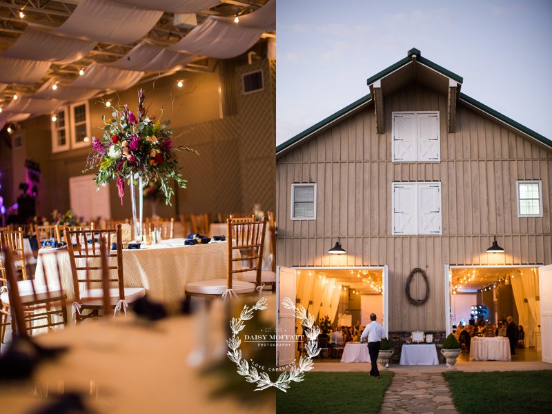 walnut hill farm, barn wedding, georgia wedding, atlanta wedding photographer, chattanooga wedding photographer, monica's bridal, mayflowers, large wedding party, southern wedding, best photographer, chattanooga photographer